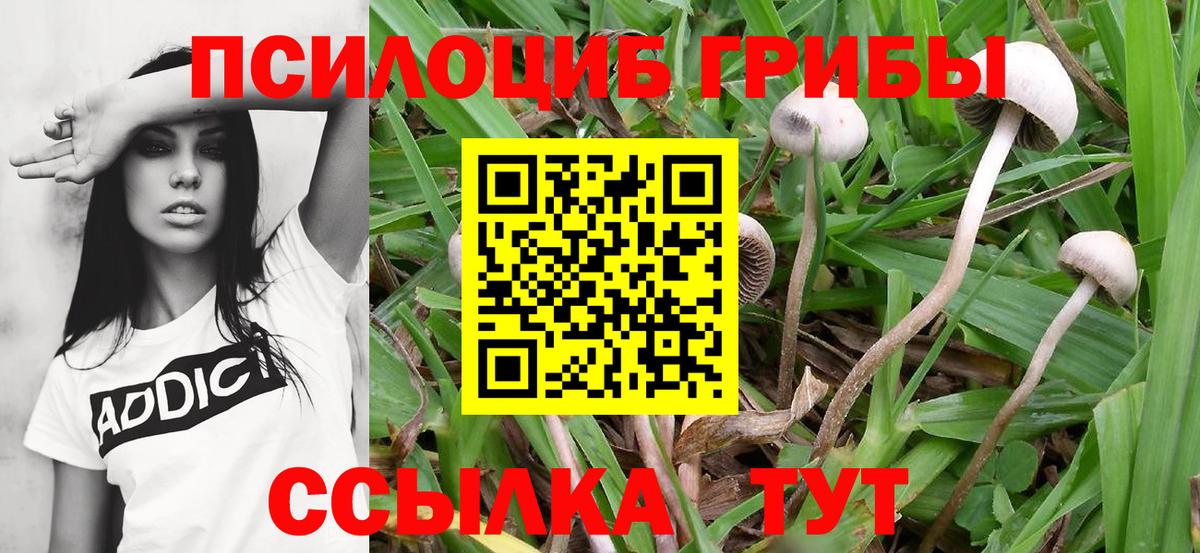Ухта  Галлюциногенные грибы GOLDEN TEACHER  Галлюциногенные грибы Psilocybine cubensis  Вход с VPN 