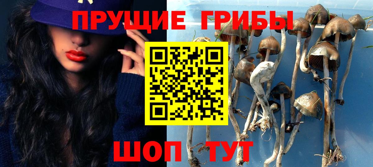Псилоцибиновые грибы мицелий Ухта